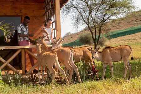 Private Day Tour in Serval Wildlife and Kikuletwa Hot Spring
