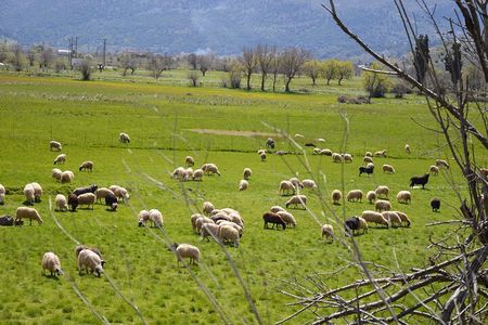 Jeep Tour to Lasithi Plateau, Olive Oil Factory, Eco Farm