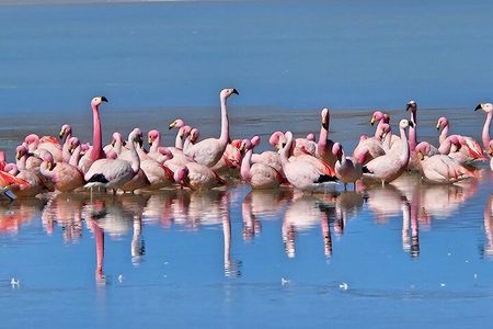 Private Tour Uyuni and LAGUNAS