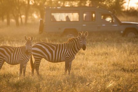 4-Day Serengeti, Ngorongoro, & Lake Manyara Budget Tour