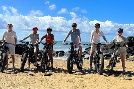 Authentic North East Coast E-bikes Guided Tour
