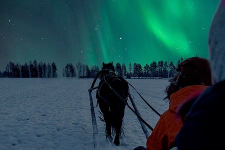 Horse Sleigh Ride Under The Night Sky in Apukka Resort, Rovaniemi