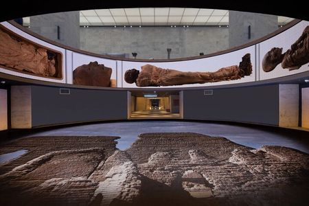Private Guided Tour of the Egyptian Museum in Cairo