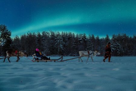 Reindeer Sleigh Ride Across the Night in Apukka Resort Rovaniemi