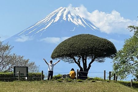 Hike Japan Heritage Hakone Hachiri with certified mountain guide 
