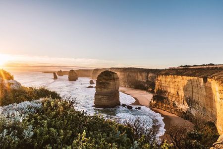 Great Ocean Road Coastal Spectcular with Wildlife Wonders