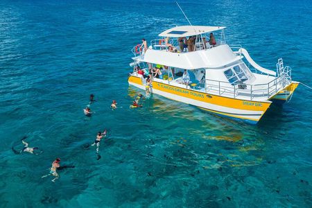 Afternoon Half Day Cruise from Providenciales with Snorkeling and Iguana Island