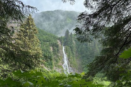 Guided Hike in Sitka, Alaska