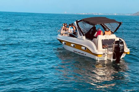 Whale Watching From Colombo