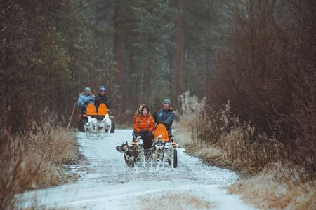 Autumn Husky Ride on Wheels, Apukka Resort Rovaniemi