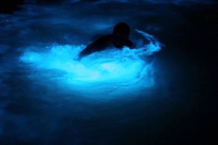 Private Guided Night Tour of Luminous Lagoon in Montego Bay