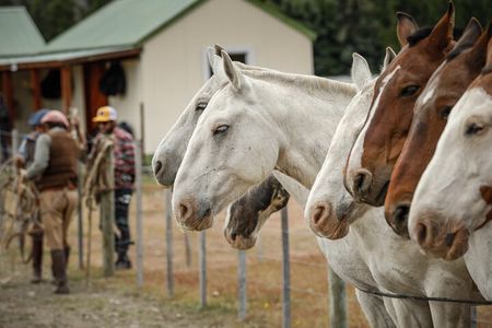 Horse Back Riding Expedition