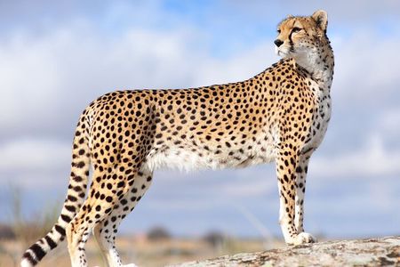 Private 3 Day Tour to Serengeti National Park