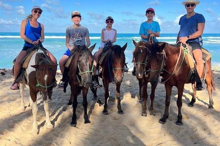 Beach Sunset Horseback Ride in Punta Cana