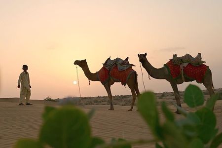 2 Days 2 Night Camel Safari