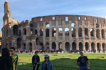 Group tour of Colosseum, Roman forum and Palatine hill
