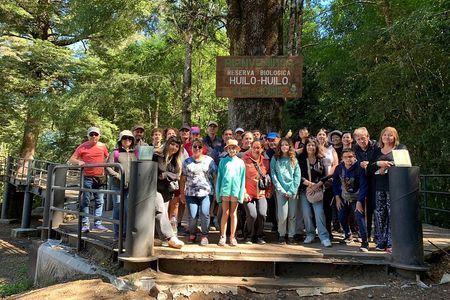 Huilo-Huilo Biological Reserve Full Day Tour
