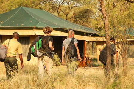 5-Day Private Safari Tour in Tanzania's Wildlife