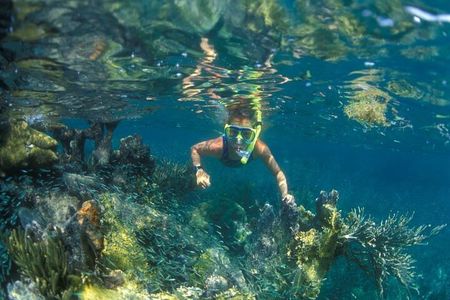 Cham Island Snorkeling - Wonderful Beach - Speedboat Daily Tour