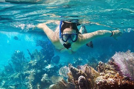 Cham Island Tour Snorkeling -Sunbathing - Nice Beach - Speedboat