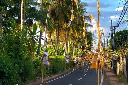 Scenic of Ubud Full Day Private Guided Tour