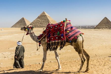 7 Hour Private Tour in Pyramids of Giza and The Egyptian Museum