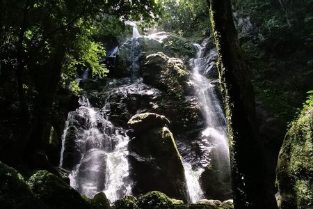 Full-Day Wild Trekk in Panama, Eco Adventure & Culinary Delights