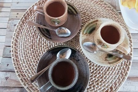 Bohol Chocolate Farm and Chocolate Hills Private Tour