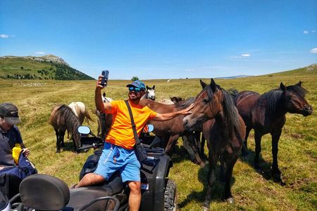 Full-Day Quad and Wild Horses Safari in Livno from Split