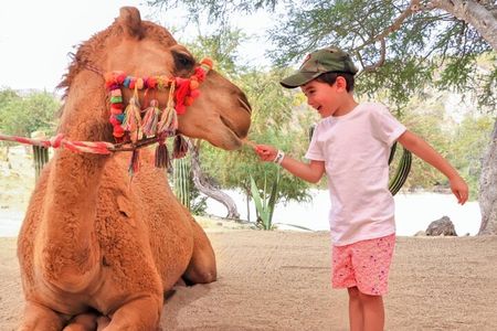 Guided Canyon Camel Ride in Wild Canyon Adventure Park