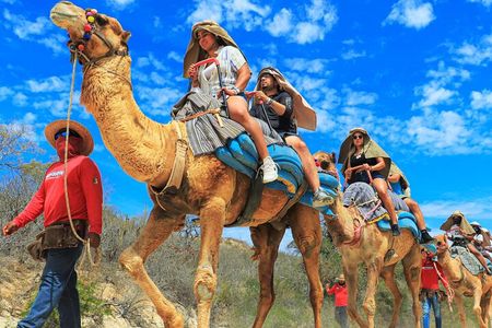 Wild Canyon Full Day Pass in Cabo