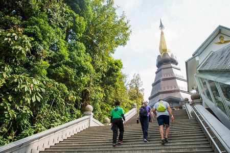 Doi Inthanon National Park Eco-Friendly Full Day Tour