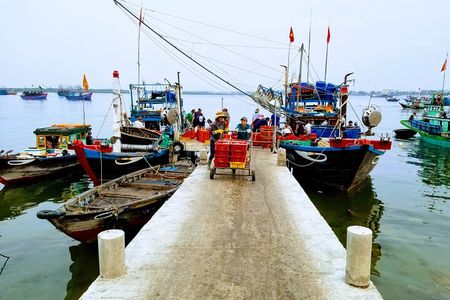 Hoi An Sunrise Private Half Day Tour