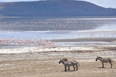 2 Day Tour Lake Nakuru, Hell' s Gate & Lake Naivasha From Nairobi