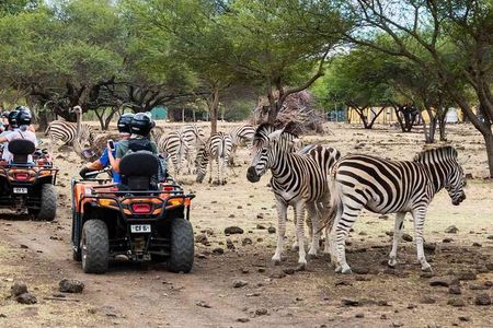 Wild South West Tour : SAFARI & TULAWAKA CASELA PARK & LE MORNE