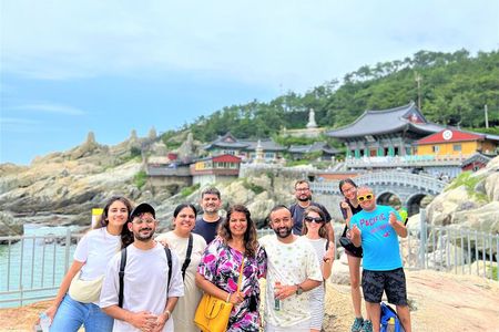 Busan Private Tour with licensed tour guide + private vehicle