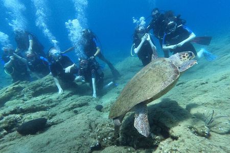 Heraklion: Scuba Diving Experience for Beginners