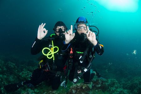 Discover Scuba Diving PADI - Trial dive in Sorrento