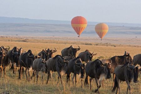 5-Day Classic Tarangire, Serengeti & Ngorongoro Camping