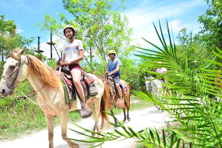 Horseback Riding on the Stunning Beaches of Punta Cana