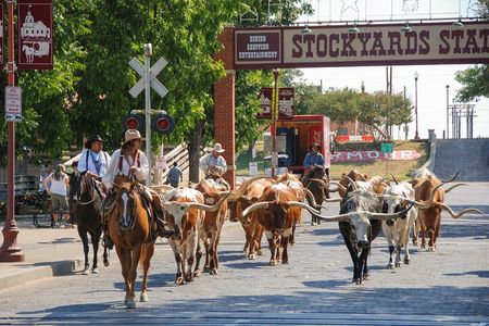 Fort Worth Stockyards Foodie Tour with Food Tours of America