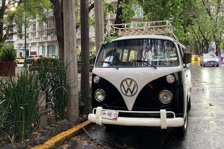 Mexico City PRIVATE Lucha Libre, mezcal & Tacos on a 1975 VW Bus