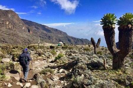 6 Day Private Kilimanjaro Climbing Via Rongai Route