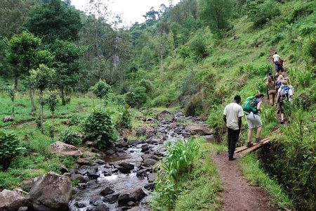 Day Trip To Materuni Waterfalls