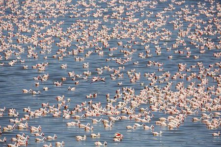 Full Day Tour To Arusha National Park Canoeing Safari