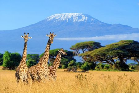 Overnight Safari to Amboseli National Park