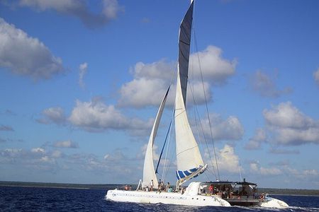 Tour to Isla Saona From Punta Cana with Transportation and Lunch