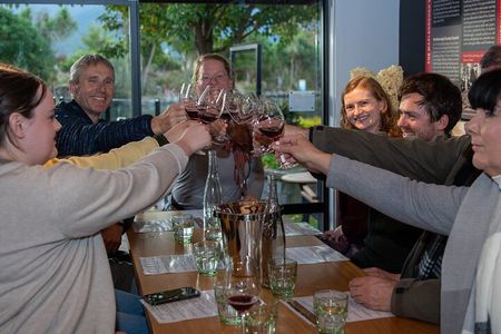 Full-Day Marlborough Wine Tour Including Wine Tasting 