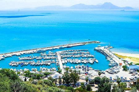 Ancient Carthage and Sidi Bou Said Half Day Tour with Lunch