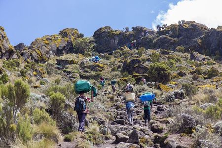 7 Days Mountain Kilimanjaro Hike Marangu Route
